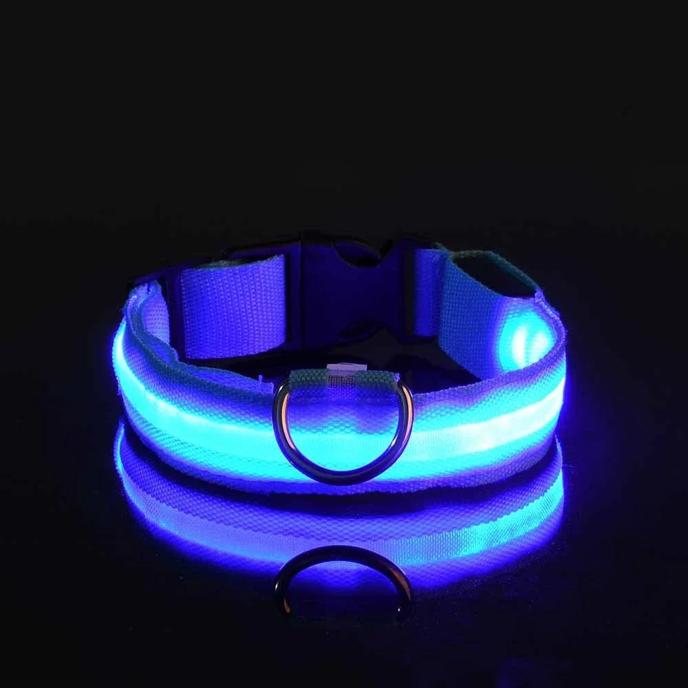 Luminous Pet Collar