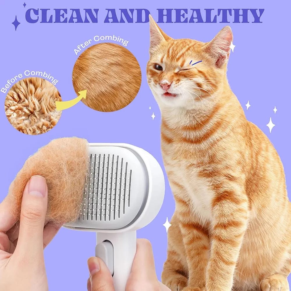 Pet hair removal tool