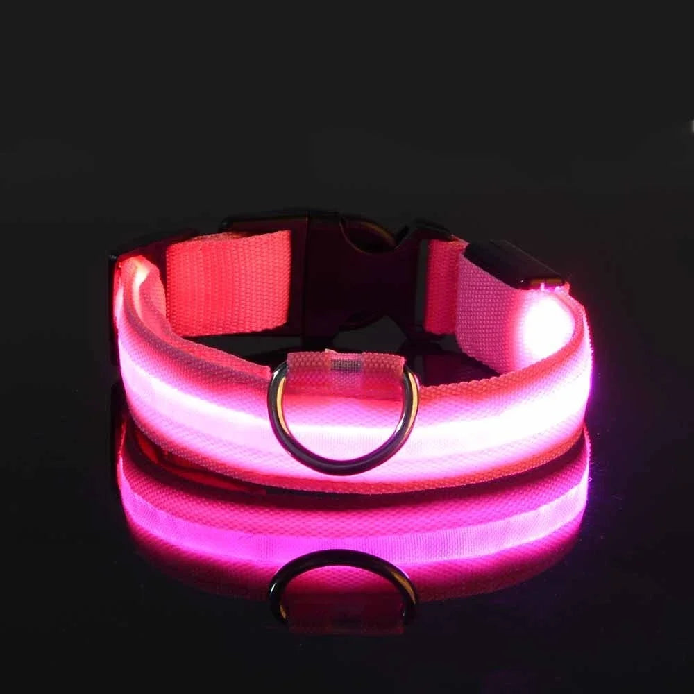 Luminous Pet Collar