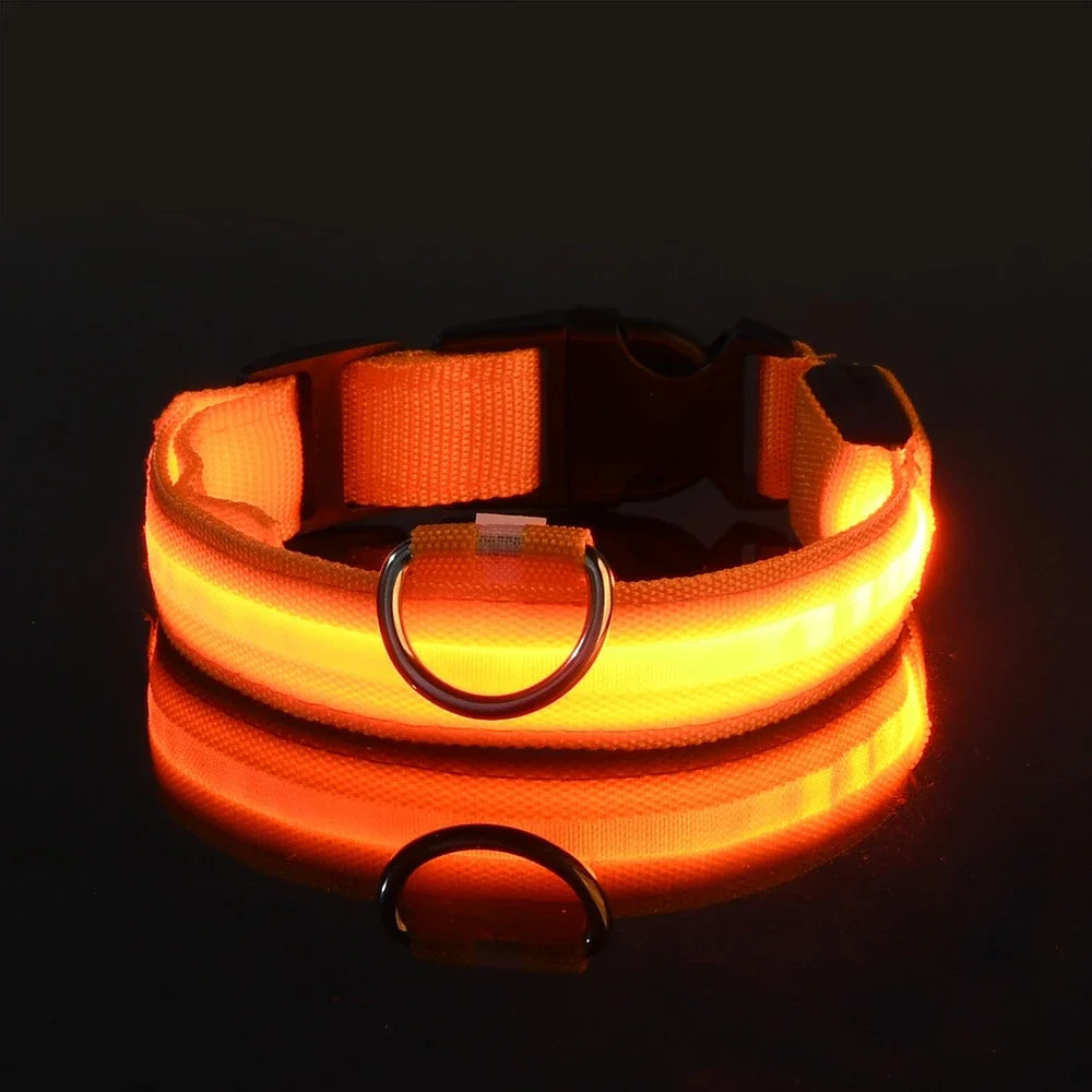 Luminous Pet Collar