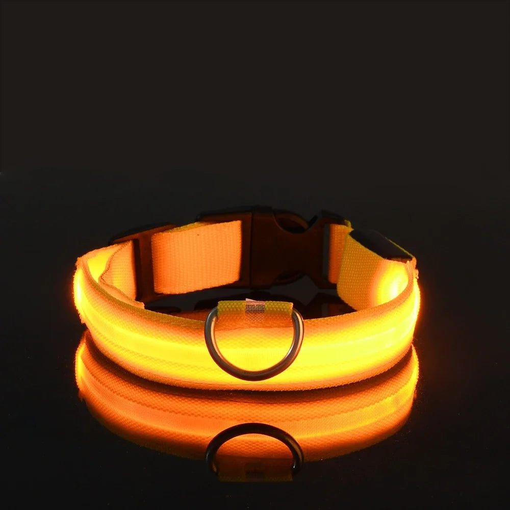 Luminous Pet Collar