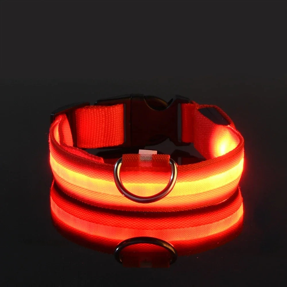 Luminous Pet Collar