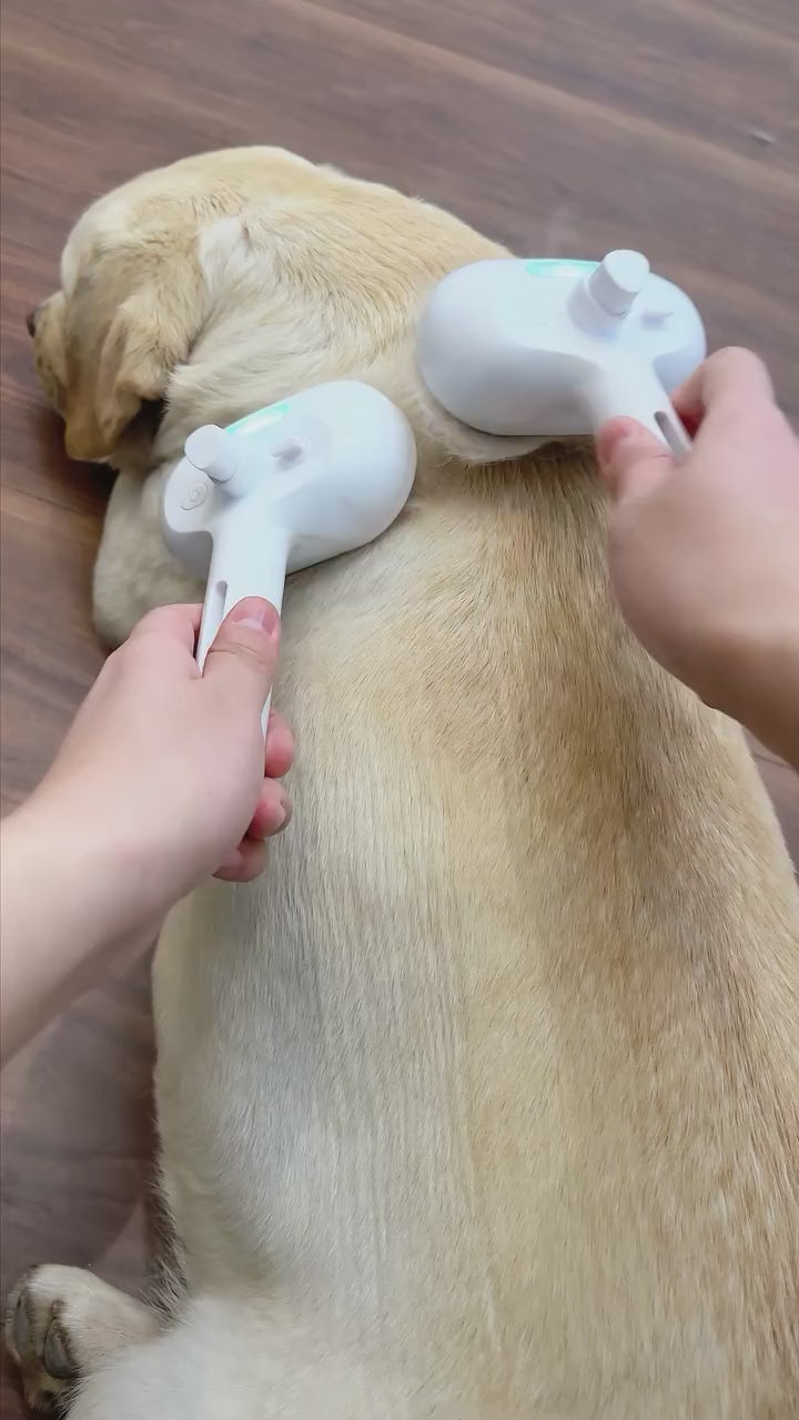 Pet hair removal tool
