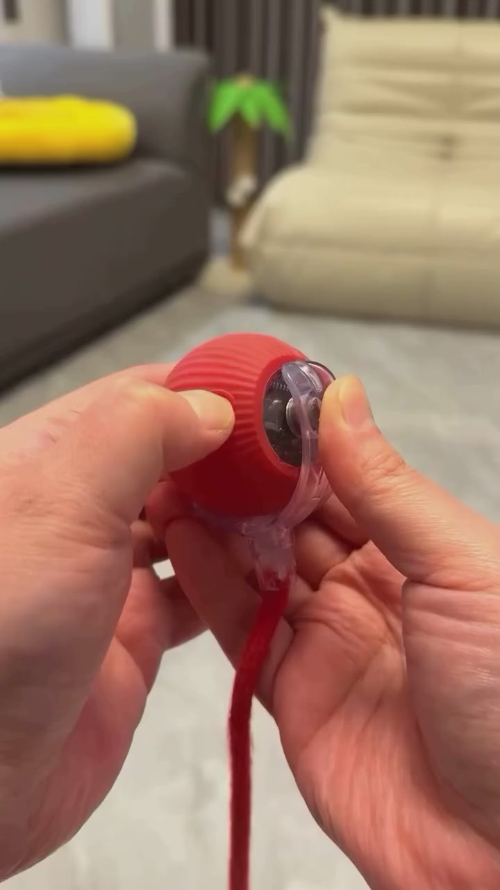 Cat Interactive Ball Toy