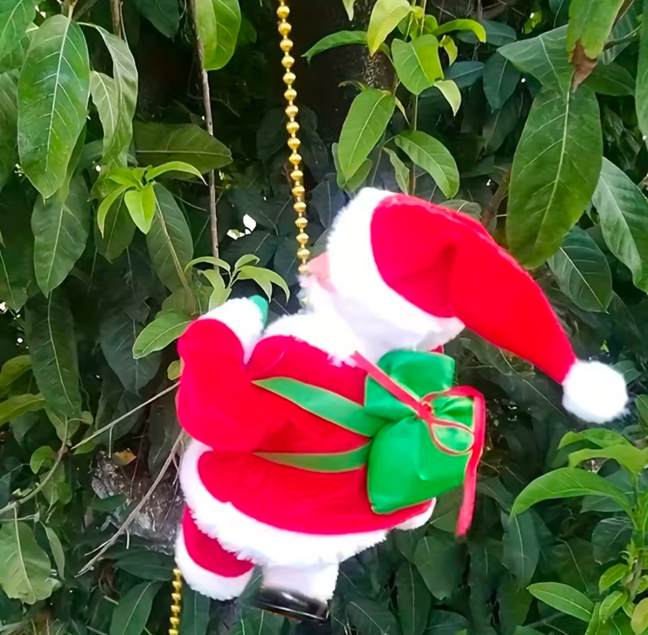 Climbing Santa Claus