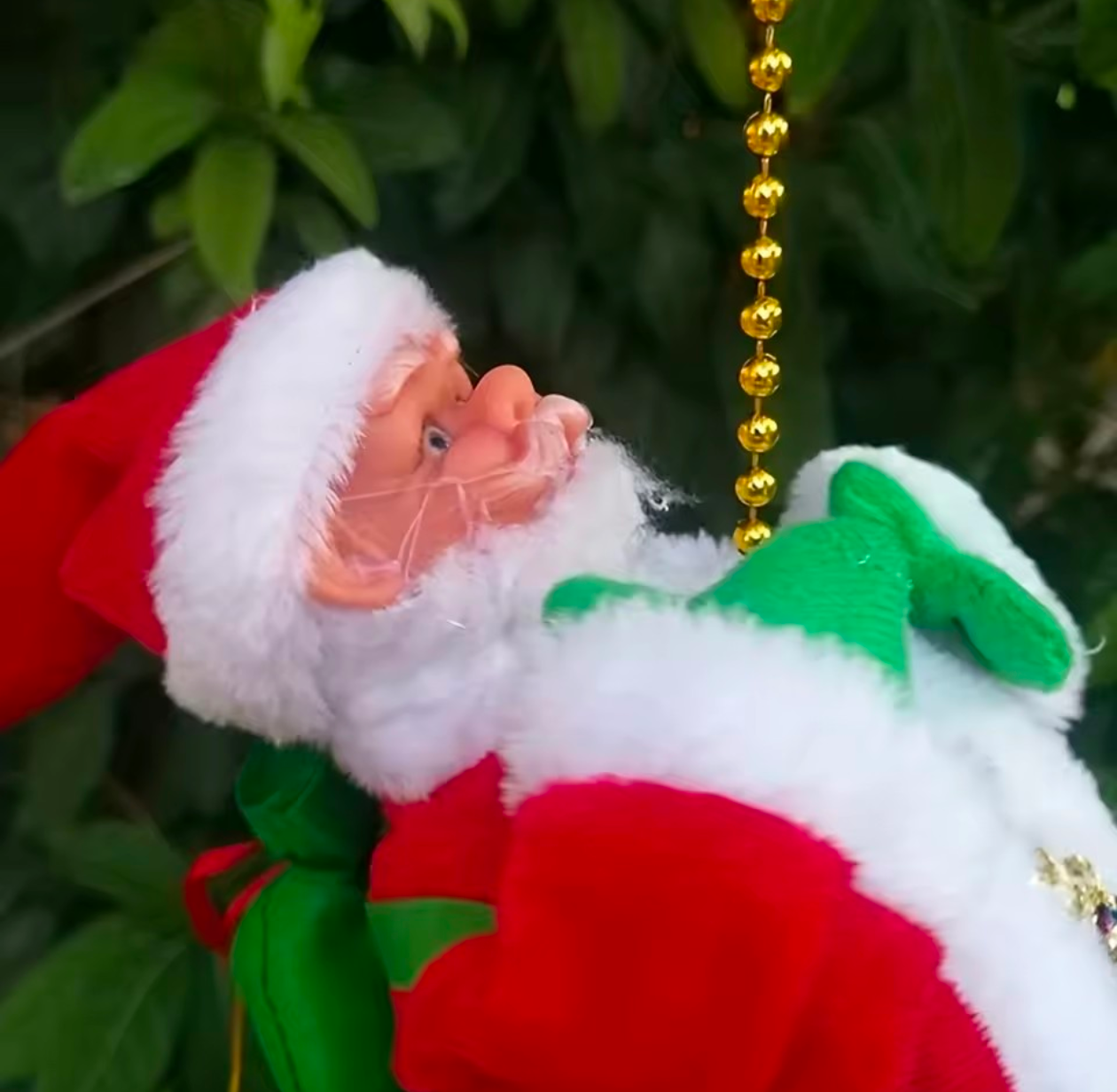 Climbing Santa Claus