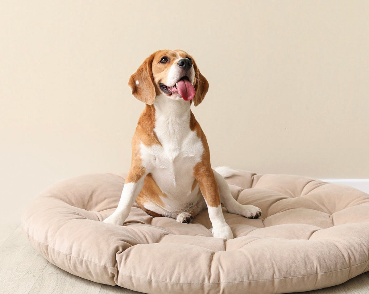 Pet cushion bed round