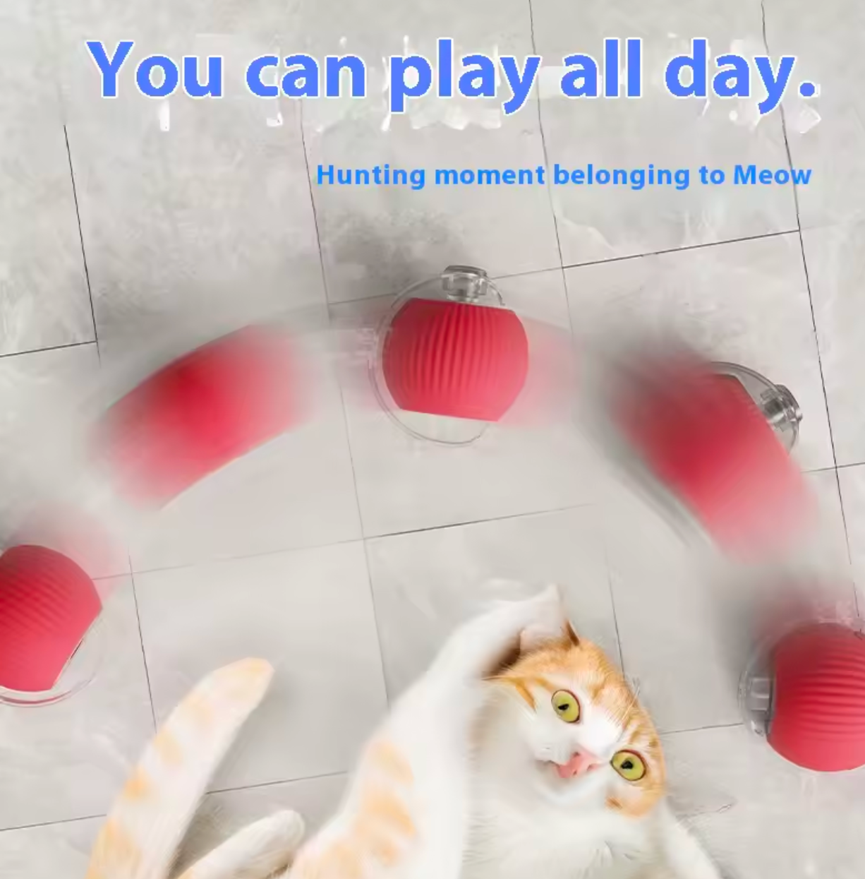 Cat Interactive Ball Toy