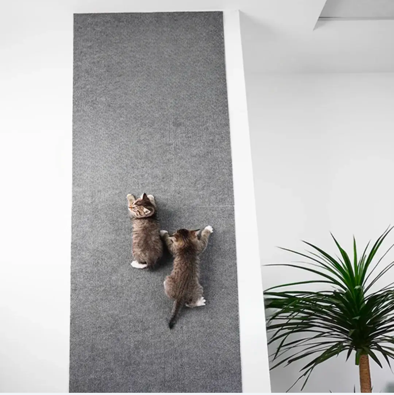 Wall Mounted Cat Scratching Pad