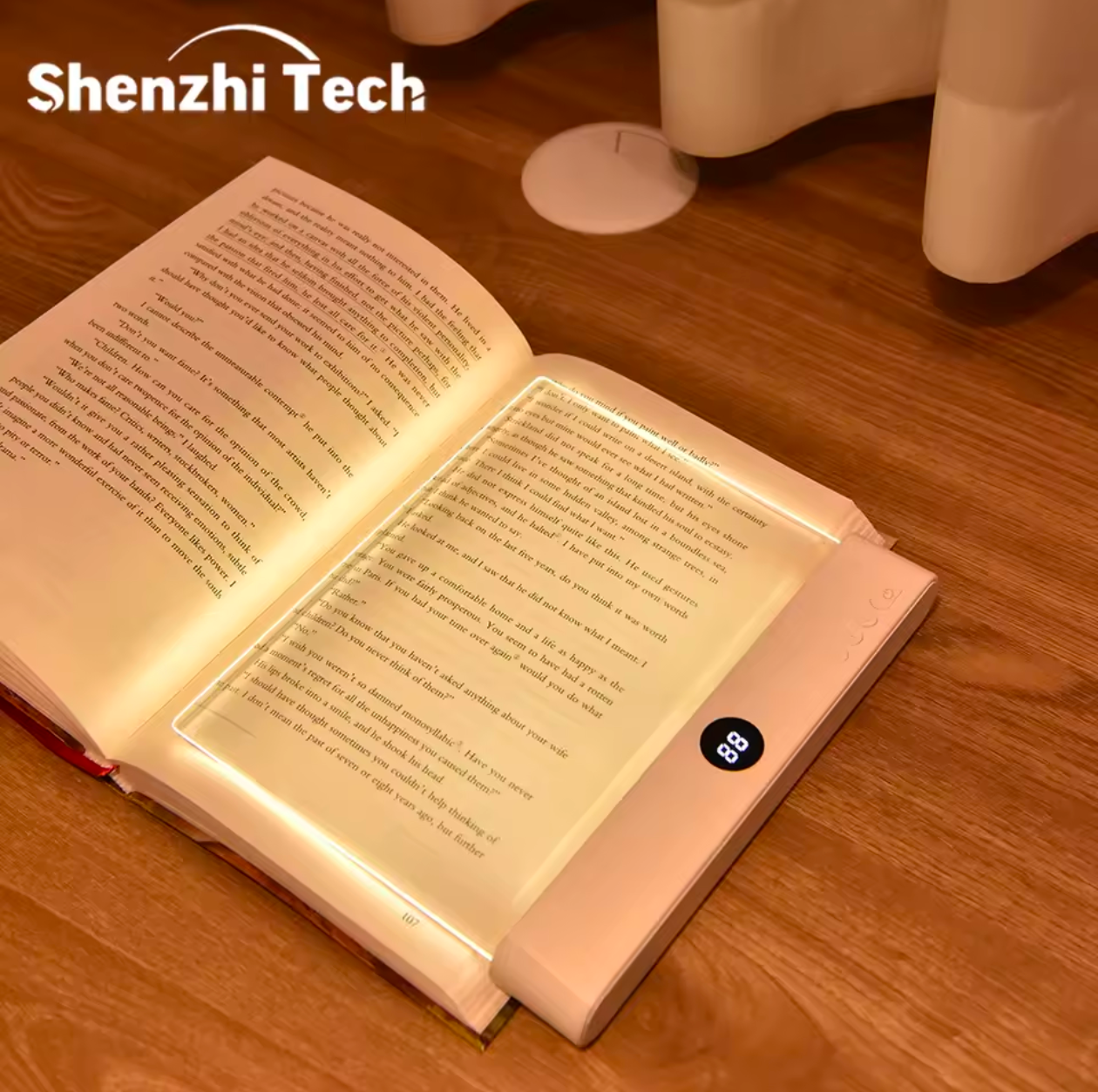 LED Reading Light