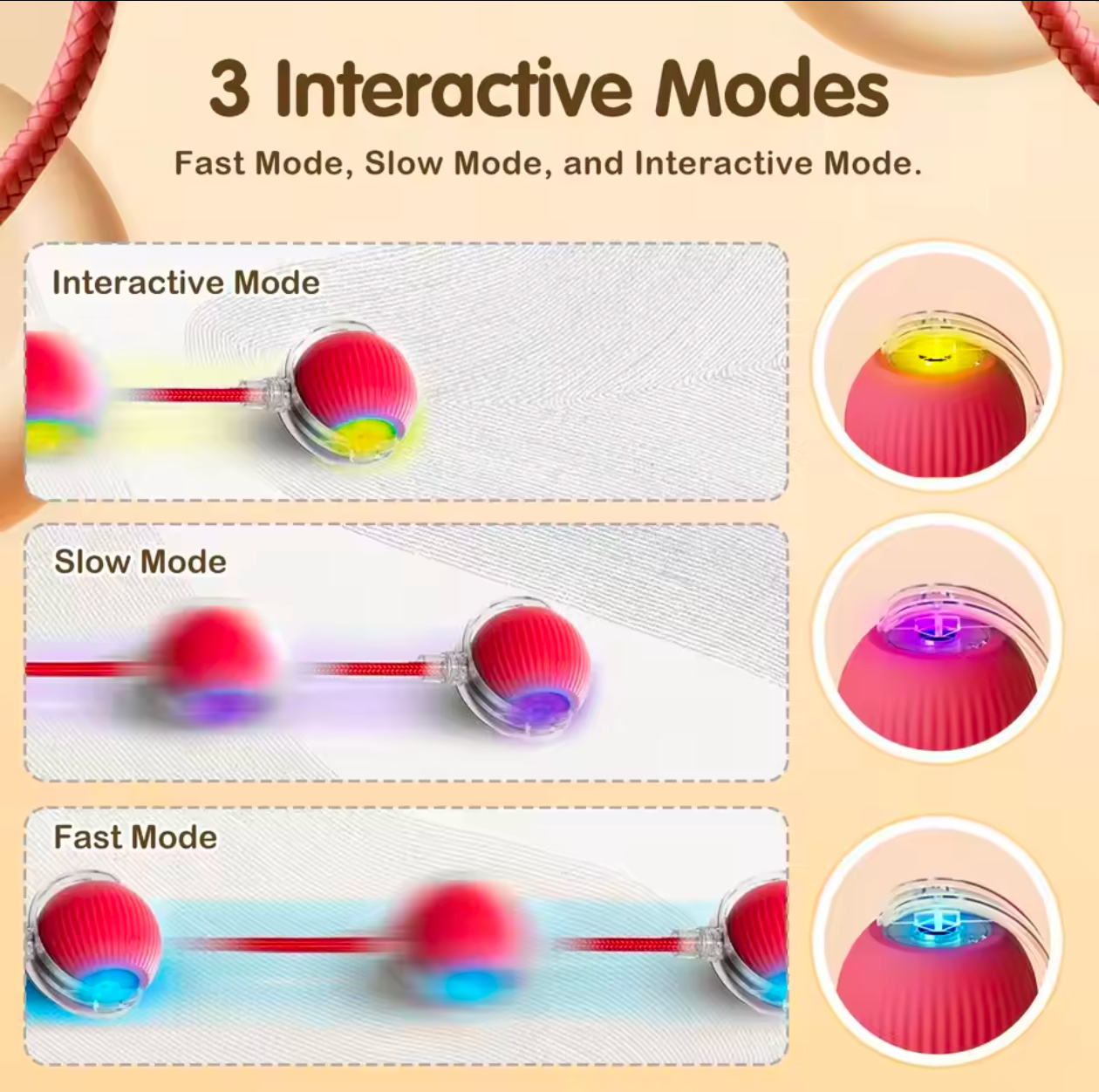 Cat Interactive Ball Toy