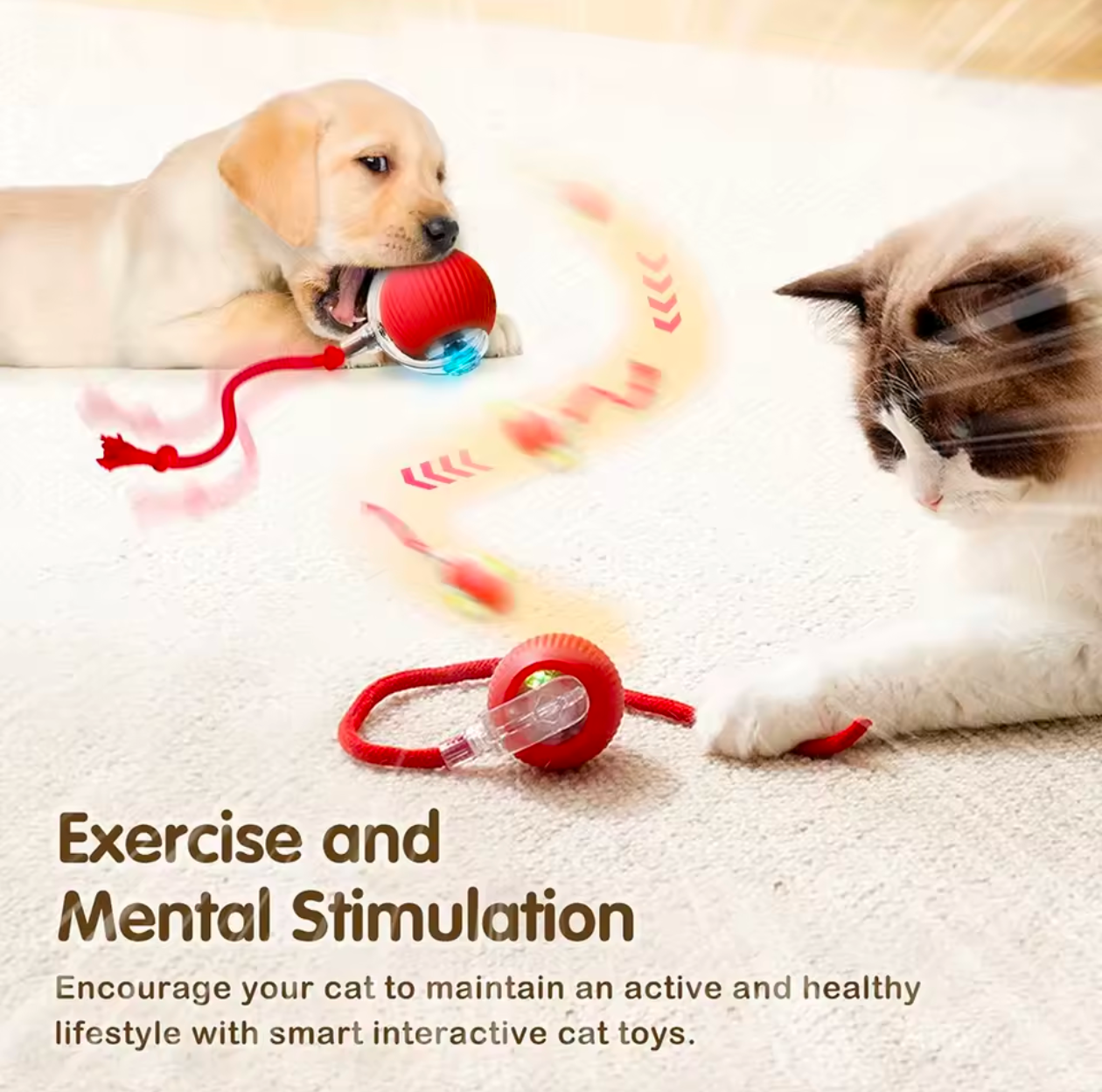 Cat Interactive Ball Toy