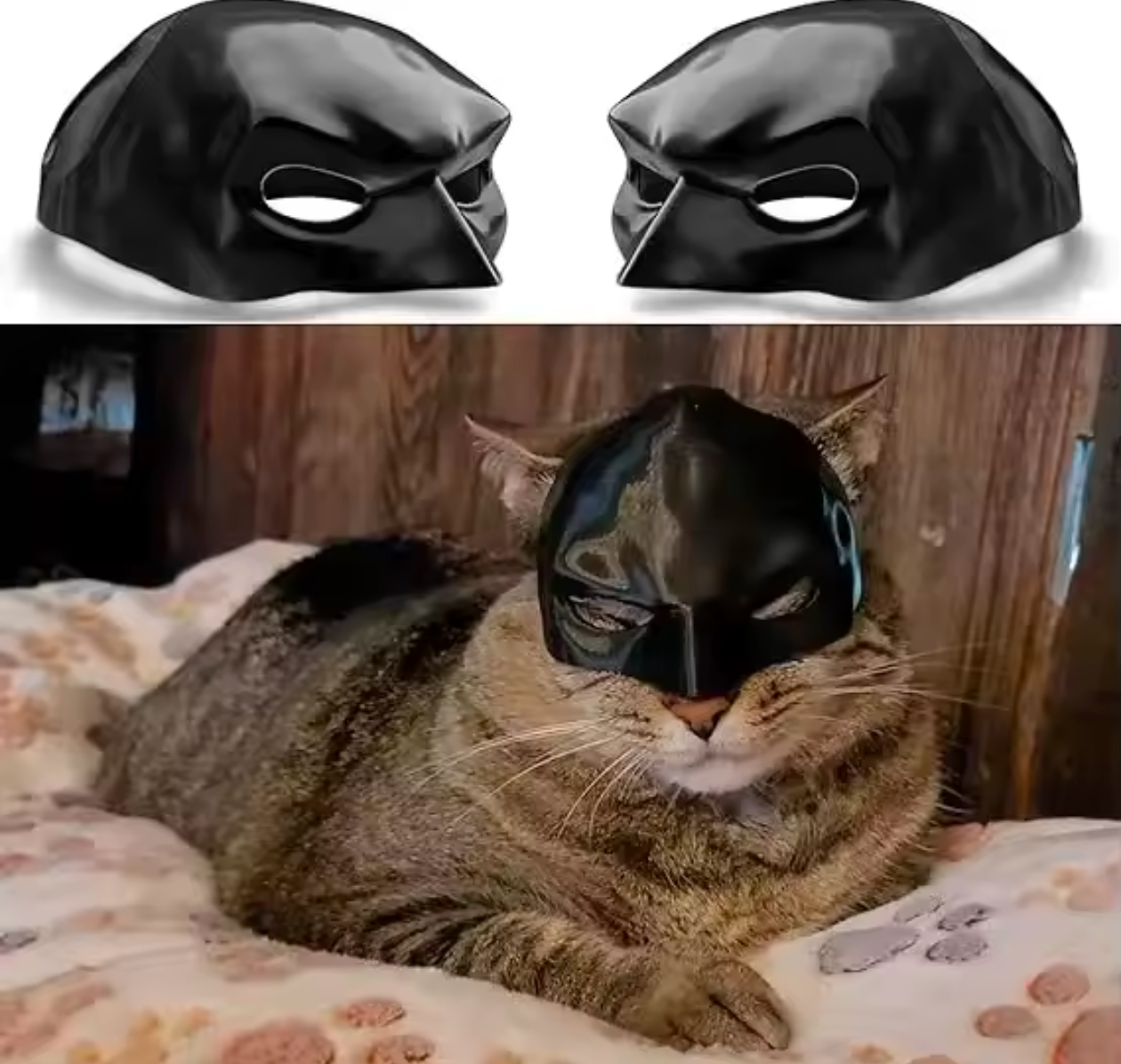 Batman Cat Mask